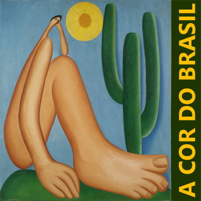 rioecultura : EXPO A cor do Brasil : Museu de Arte do Rio [MAR]