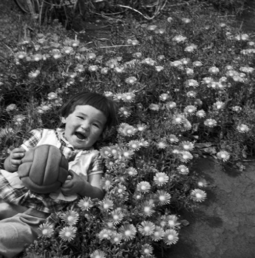 rioecultura EXPO Haruo Ohara � Fotografias