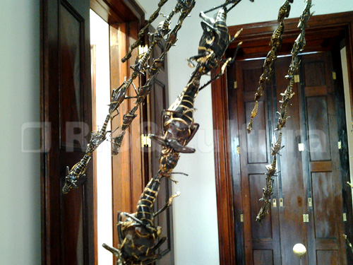 rioecultura EXPO: Cantos Cuentos Colombianos