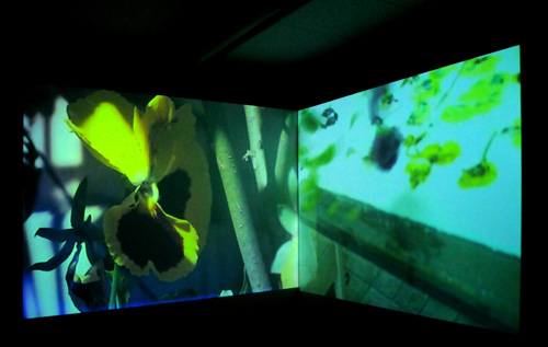 rioecultura : EXPO Um princ�pio de delicadeza