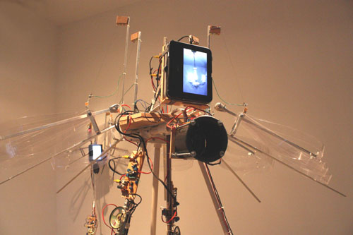 rioecultura : EXPO DENTRE [Mariana Manh�es] : Sala A Contempor�nea