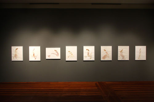 rioecultura : EXPO Nô�S [Tatiana Verbicario] : CCJF