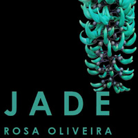 rioecultura : EXPO JADE [Rosa Oliveira] : Galeria Anna Maria Niemeyer<br> [Baixo Gvea]