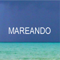 rioecultura : EXPO MAREANDO [Marcos Bonisson] : Galeria Artur Fidalgo