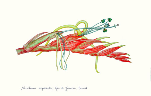 rioecultura : EXPO Sergio Allevato : Galeria Artur Fidalgo