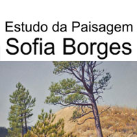 rioecultura : EXPO Estudo da Paisagem [Sofia Borges] : Galeria Artur Fidalgo