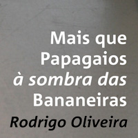 rioecultura : EXPO Mais que Papagaios � sombra das Bananeiras [Rodrigo Oliveira] : Cosmocopa Arte Contempor�nea