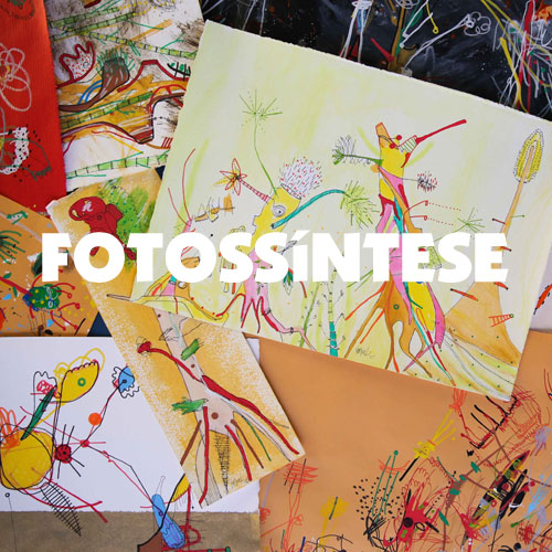 rioecultura : EXPO Fotoss�ntese [Smael] : Homegrown Ipanema