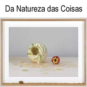 rioecultura : EXPO Da natureza das coisas [Pablo Lobato] : Museu de Arte do Rio [MAR]