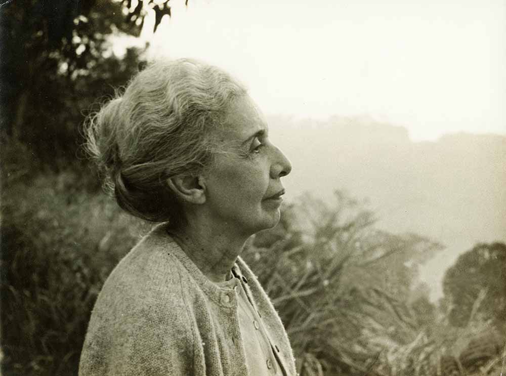 rioecultura : EXPO Ocupa&ccedil;&atilde;o Nise da Silveira