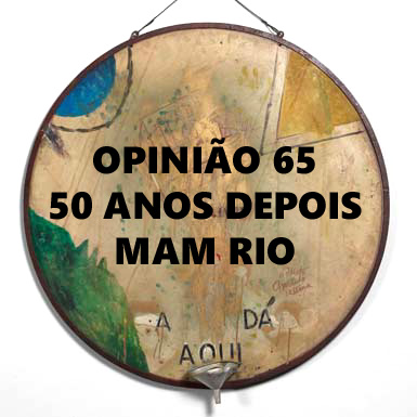 rioecultura : EXPO Opini�o 65 � 50 anos depois : Museu de Arte Moderna do Rio de Janeiro (MAM RJ)