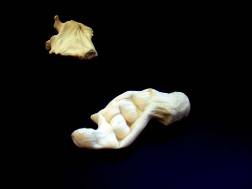 rioecultura : EXPO Placebo [Tatiana Grinberg]