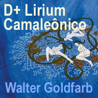 rioecultura : EXPO D+ Lirium Camalenico [Walter Goldfarb] : Museu Nacional de Belas Artes (MNBA)