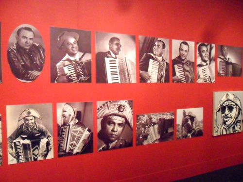 rioecultura - EXPO: O imaginário do Rei - Visões sobre o universo de Luiz Gonzaga