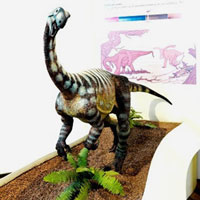 Abre dia 24 de novembro de 2007 a exposição Paleontologia. Local: Museu Nacional do Rio de Janeiro / UFRJ (Museu da Quinta)