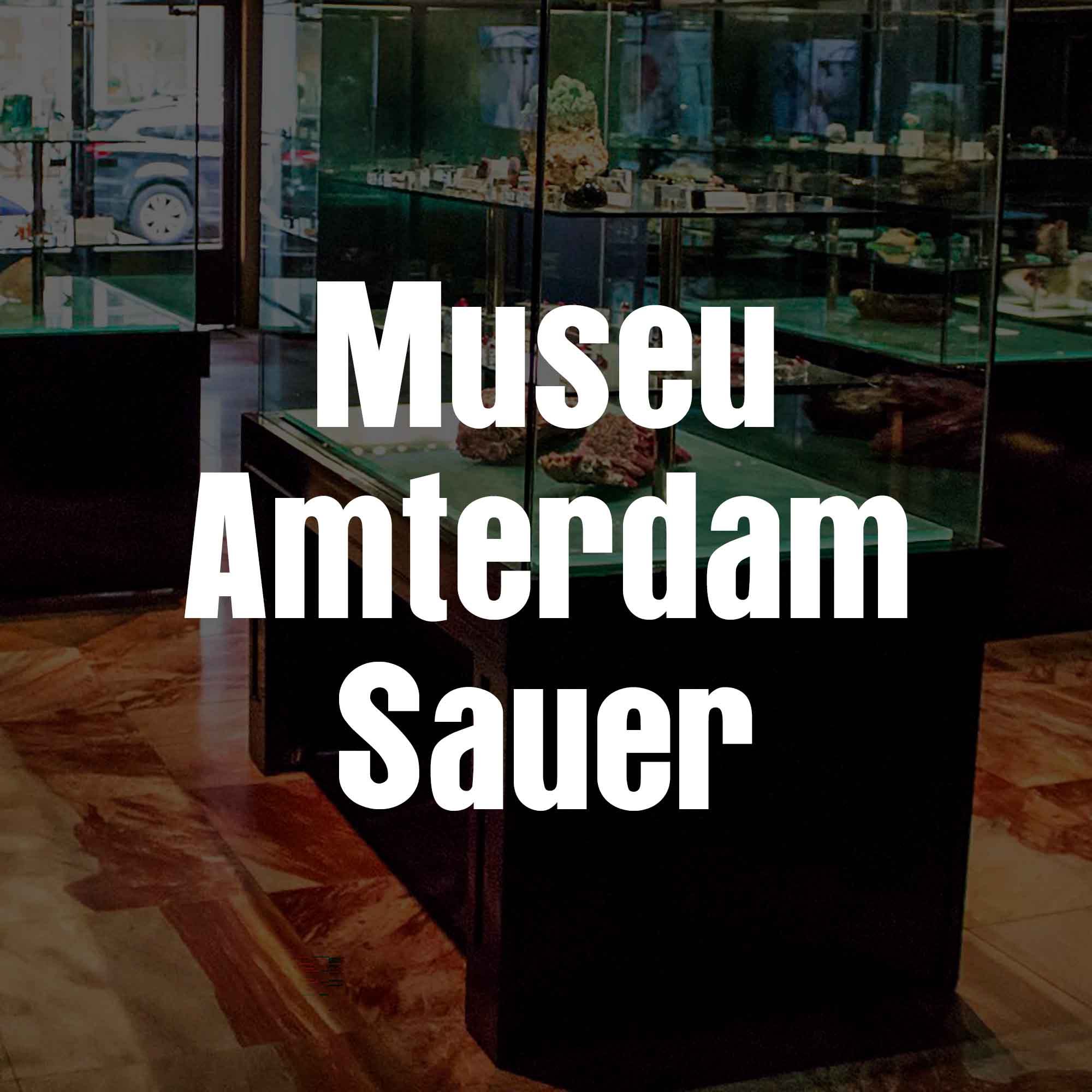 Museu Sauer