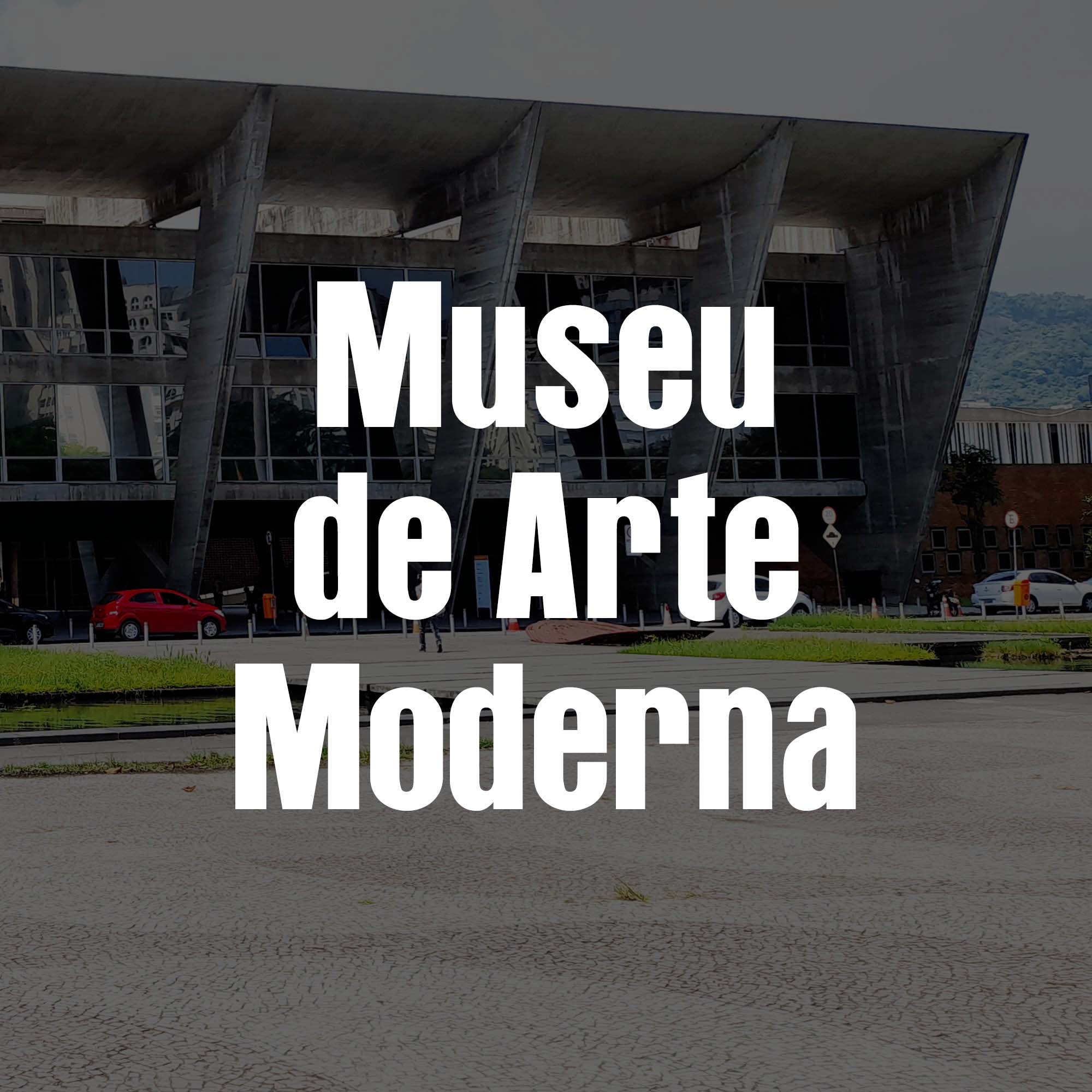 rioecultura : Museu de Arte Moderna do Rio de Janeiro (MAM RJ)