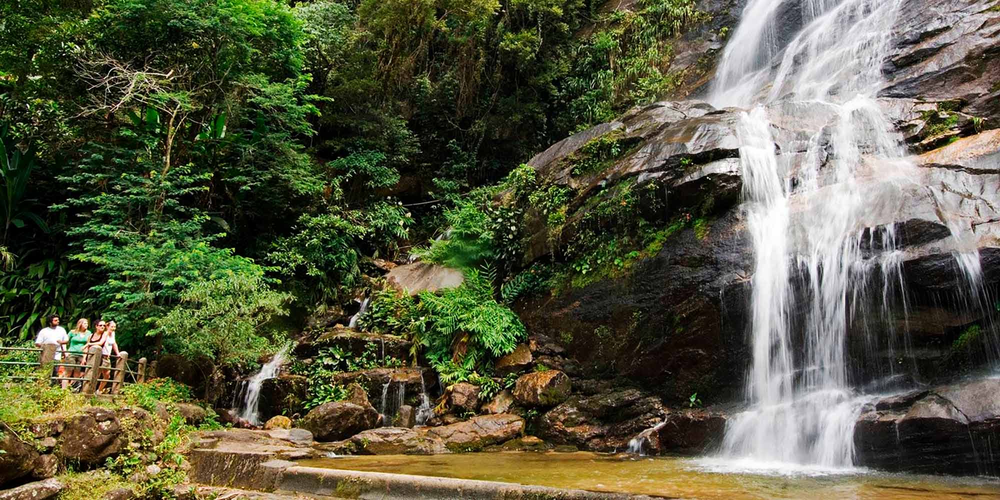 Floresta da Tijuca