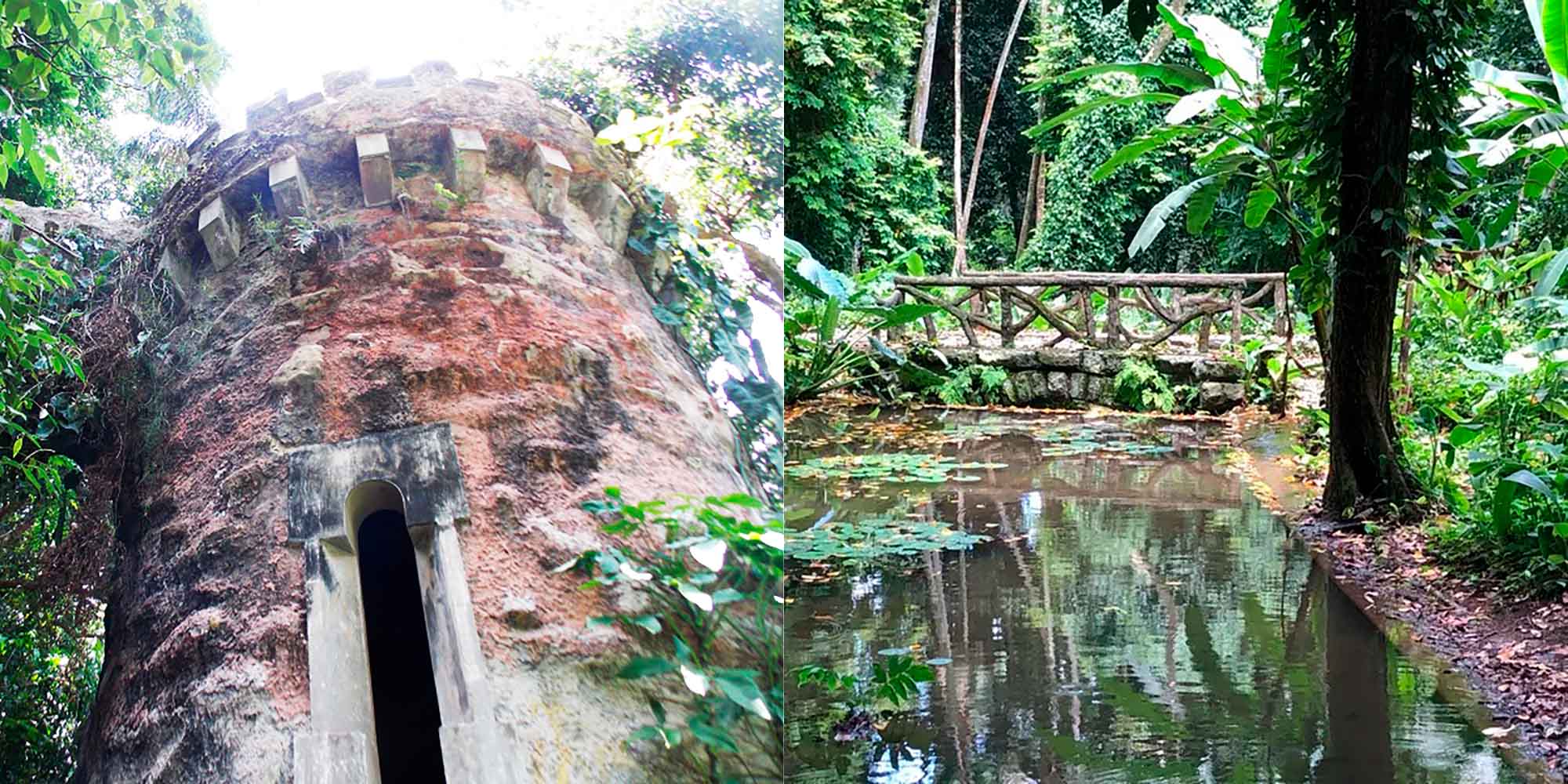 passeando pelo Parque Lage 1