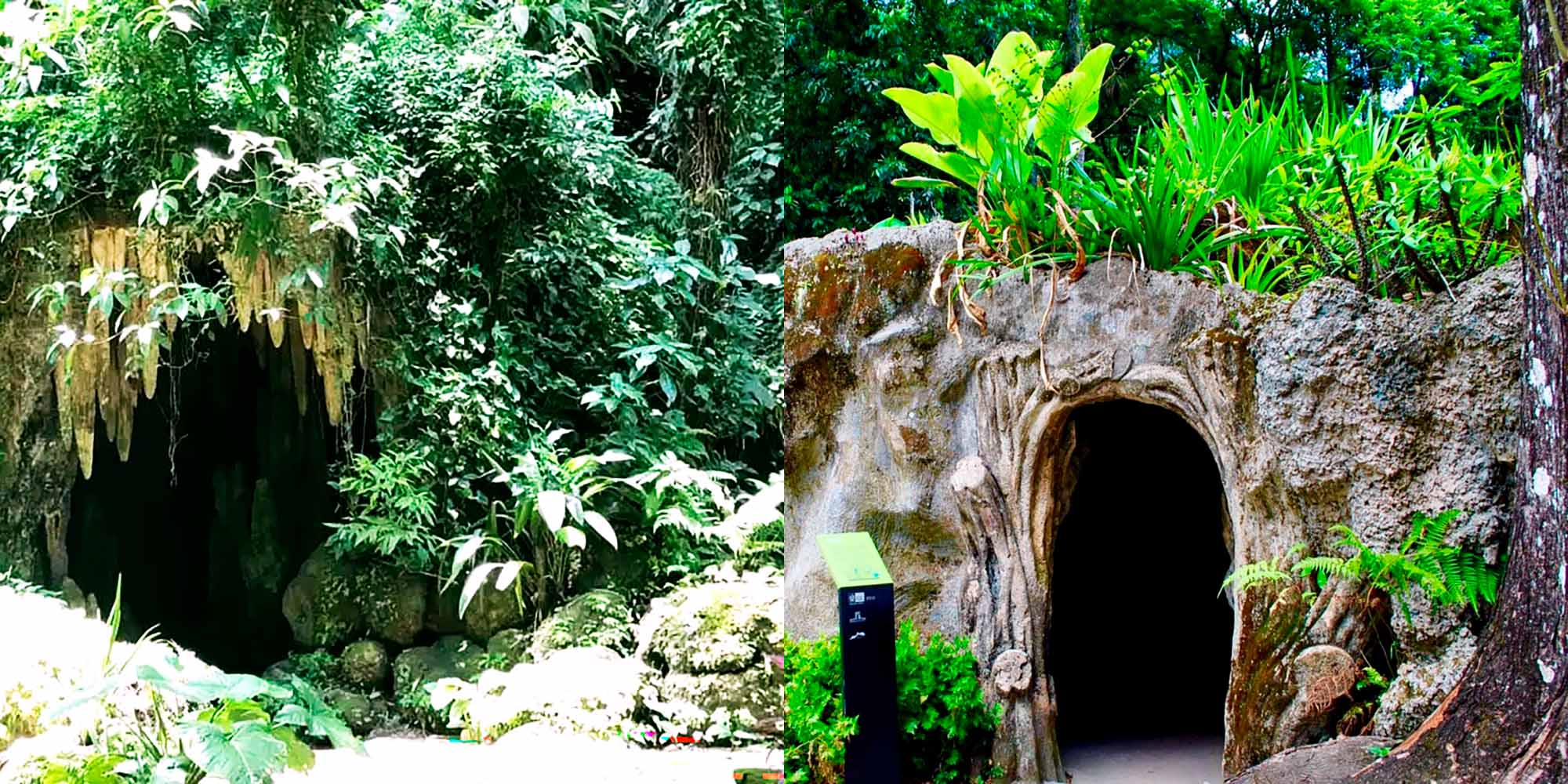 passeando pelo Parque Lage 2