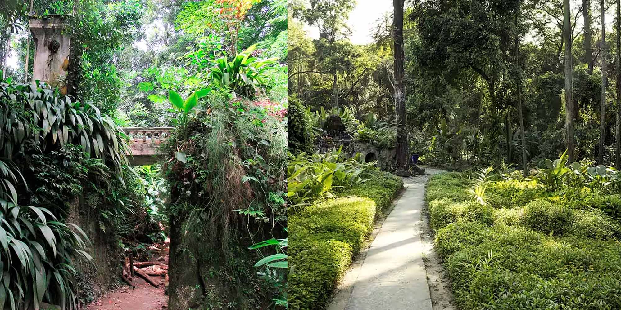 passeando pelo Parque Lage 3