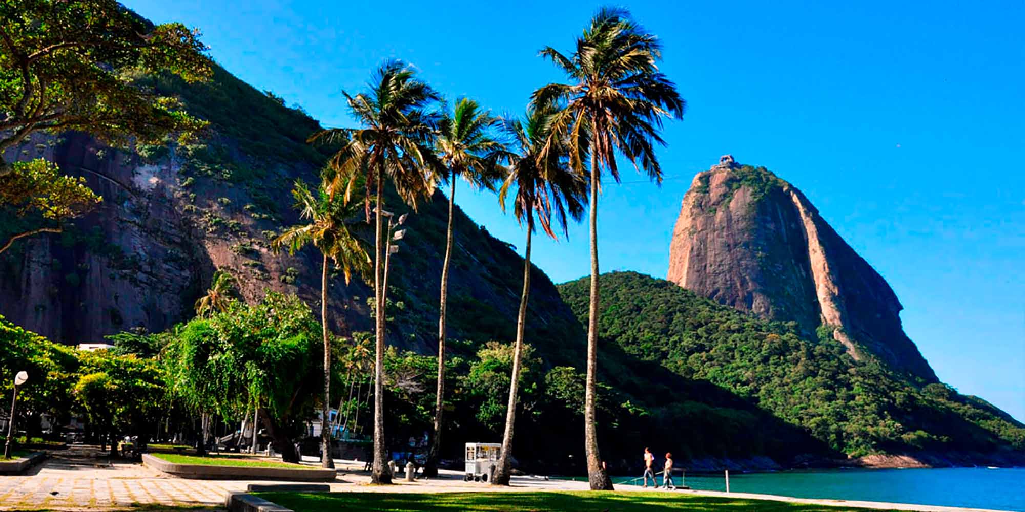 P&atilde;o de A&ccedil;&uacute;car